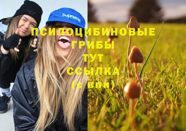 каннабис Алексин