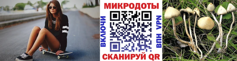 darknet официальный сайт продажа наркотиков Алушта Галлюциногенные грибы MAGIC MUSHROOMS